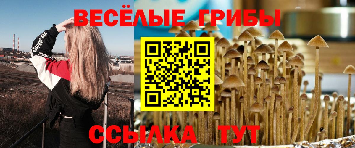 Псилоцибиновые грибы мухоморы  Псилоцибиновые грибы GOLDEN TEACHER  Вход с VPN  Уссурийск 